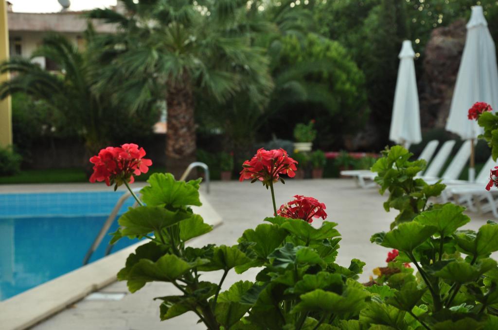 Palm Court Suites Аявали Екстериор снимка