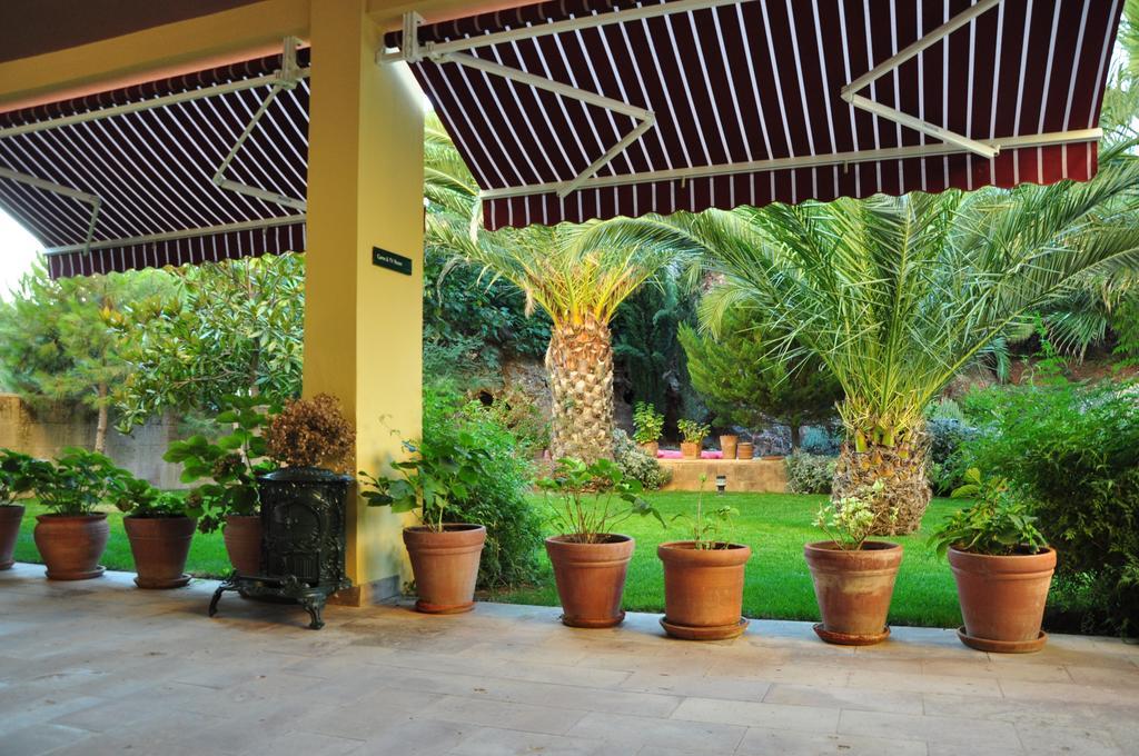 Palm Court Suites Аявали Екстериор снимка